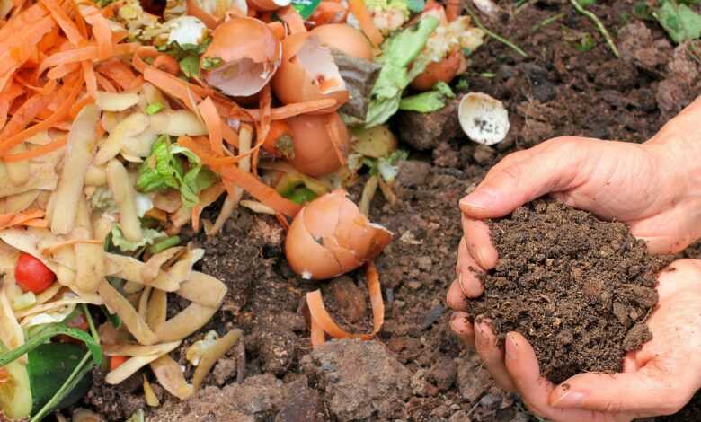 compost, ecology, waste