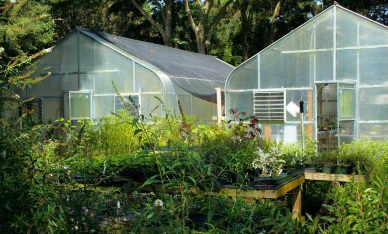 greenhouse, glass, buildings