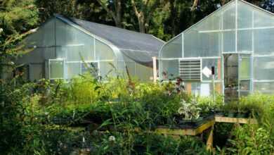 greenhouse, glass, buildings