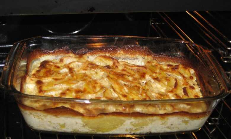 potato gratin, meal, oven