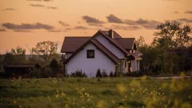 house, meadow, grass