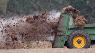 manure, muck spreader, field