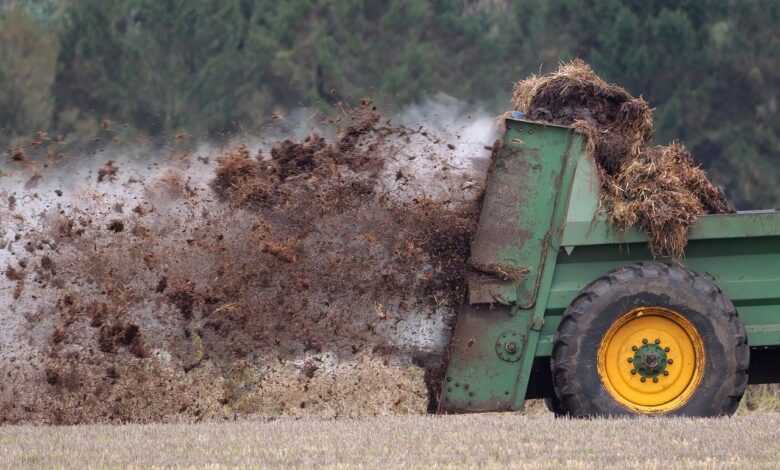 manure, muck spreader, field