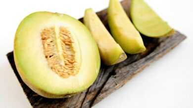 melon, honeydew melon, galia, sugar melon, fruit, vitamins, meal, food, cut open, melon, melon, melon, melon, melon, honeydew melon, honeydew melon