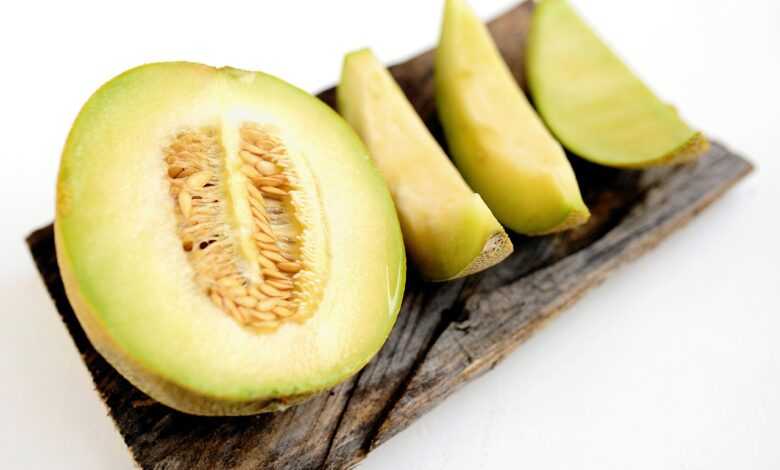 melon, honeydew melon, galia, sugar melon, fruit, vitamins, meal, food, cut open, melon, melon, melon, melon, melon, honeydew melon, honeydew melon