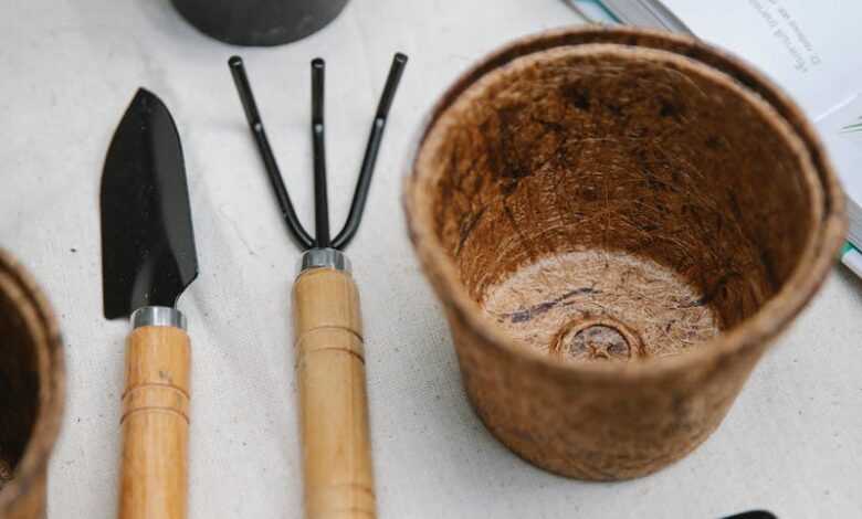 Gardening tools with potted blooming succulent