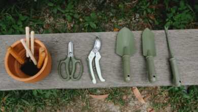 Top view of row of scissors secateurs shovels and tools for loosening soil near pot with instruments on wooden bench in garden