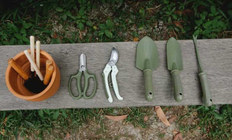 Top view of row of scissors secateurs shovels and tools for loosening soil near pot with instruments on wooden bench in garden