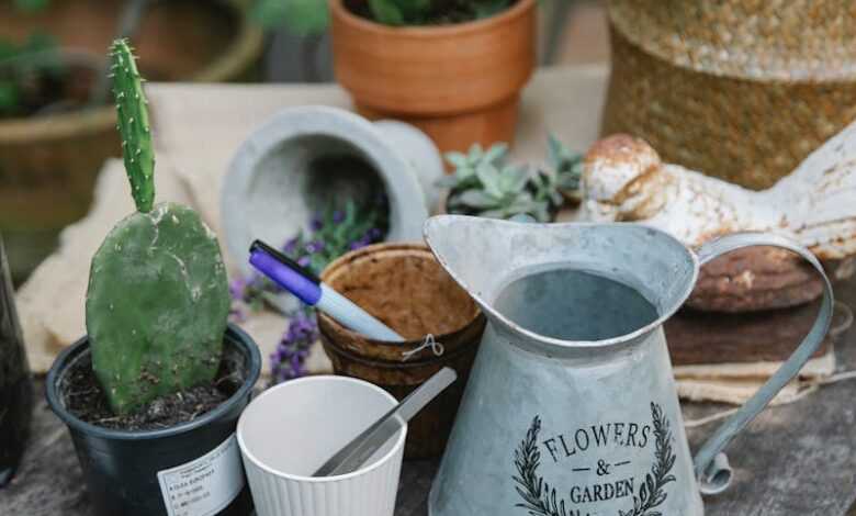 From above of potted plants placed on wooden table with watering can near cactus and gloves near scissors in botanical garden