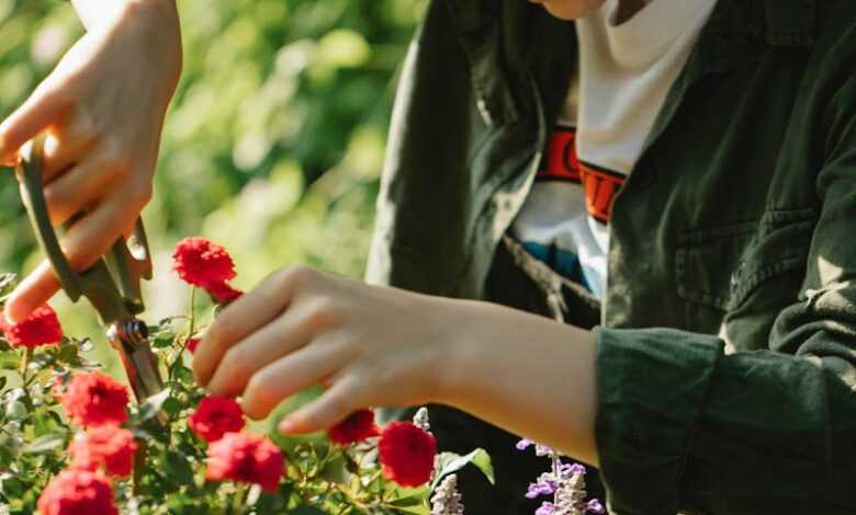 Ethnic woman cutting stems of flowers