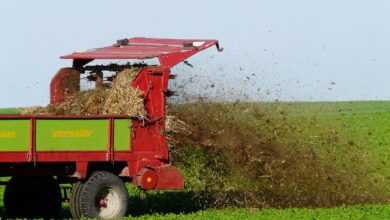 fertilize, damn, field