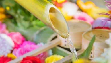 Floral decorations with bamboo fountain in garden