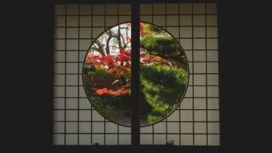 Window in Japanese style with view of trees in autumn