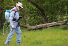 grass, backpack sprayer, maintenance, worker, man, lawn, turf, field, meadow, park, nature, backpack sprayer, backpack sprayer, backpack sprayer, backpack sprayer, backpack sprayer