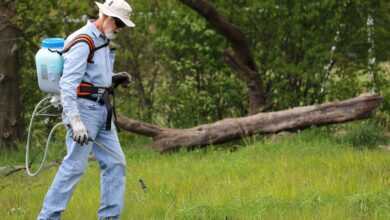 grass, backpack sprayer, maintenance, worker, man, lawn, turf, field, meadow, park, nature, backpack sprayer, backpack sprayer, backpack sprayer, backpack sprayer, backpack sprayer