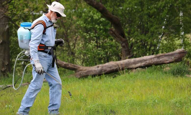 grass, backpack sprayer, maintenance, worker, man, lawn, turf, field, meadow, park, nature, backpack sprayer, backpack sprayer, backpack sprayer, backpack sprayer, backpack sprayer