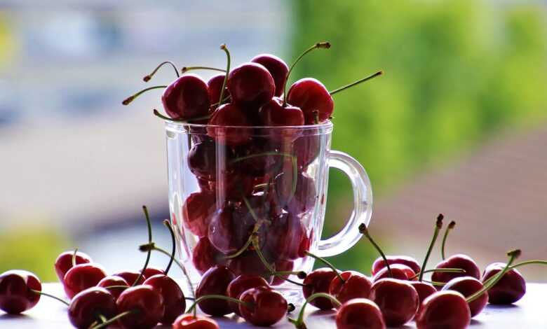 cherries, fruit, the cup