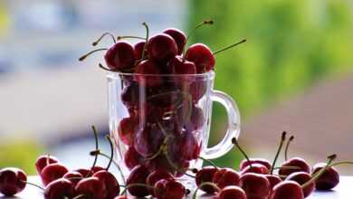 cherries, fruit, the cup