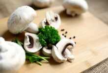 mushrooms, meal, food, vegetarian, nourishment, raw, edible, parsely, vegetables, mushrooms, mushrooms, mushrooms, mushrooms, mushrooms