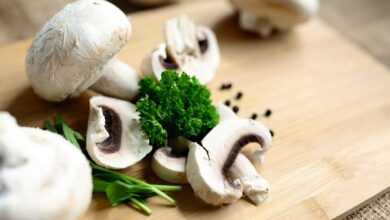 mushrooms, meal, food, vegetarian, nourishment, raw, edible, parsely, vegetables, mushrooms, mushrooms, mushrooms, mushrooms, mushrooms