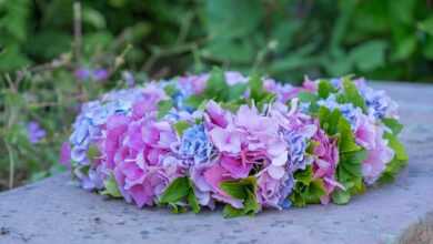 flower, blooming wreath, flower wreath