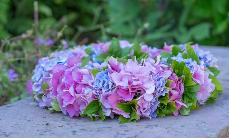 flower, blooming wreath, flower wreath