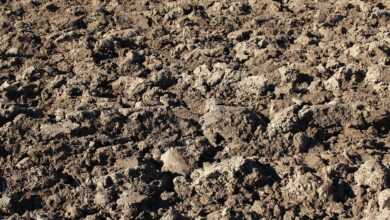 fields, floor, agriculture