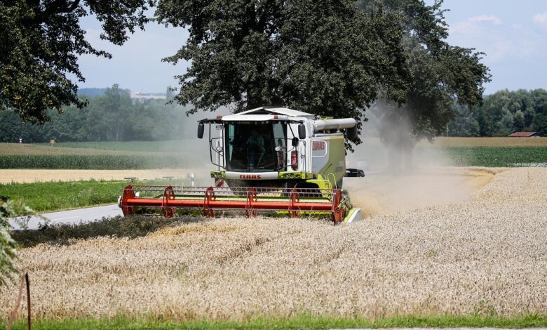 combine harvester, agriculture, harvest, combine, field, harvesting, cornfield