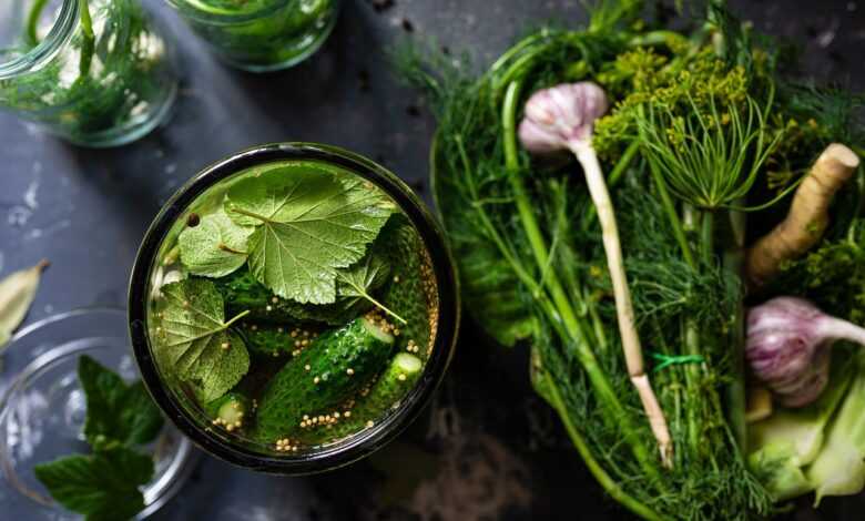 pickled, cucumbers, vegetable