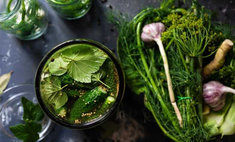 pickled, cucumbers, vegetable, leaves, water, jar, pickle, dill, nature, garlic, organic, food, preservation, healthy, nutrition