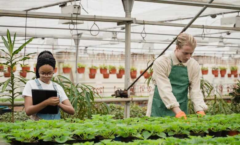 People Gardening Inside a Green House