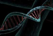dna, biological, helix, analysis, study, genetic, deoxyribonucleic acid, dna, dna, dna, dna, dna
