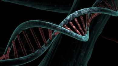 dna, biological, helix, analysis, study, genetic, deoxyribonucleic acid, dna, dna, dna, dna, dna