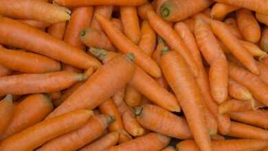 carrots, vegetables, organic, harvest, orange, vegetarian, vegetarianism, food, carrots, carrots, carrots, carrots, carrots, vegetarian