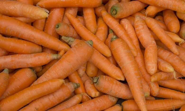 carrots, vegetables, organic, harvest, orange, vegetarian, vegetarianism, food, carrots, carrots, carrots, carrots, carrots, vegetarian