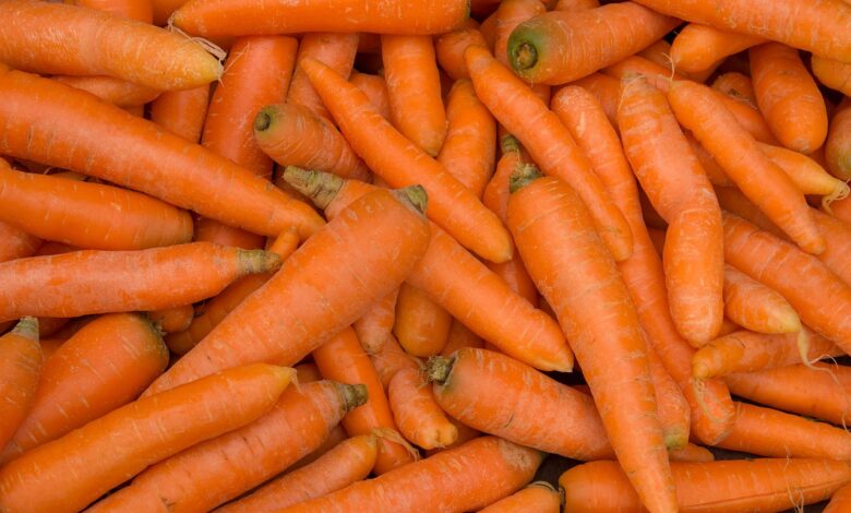carrots, vegetables, organic, harvest, orange, vegetarian, vegetarianism, food, carrots, carrots, carrots, carrots, carrots, vegetarian