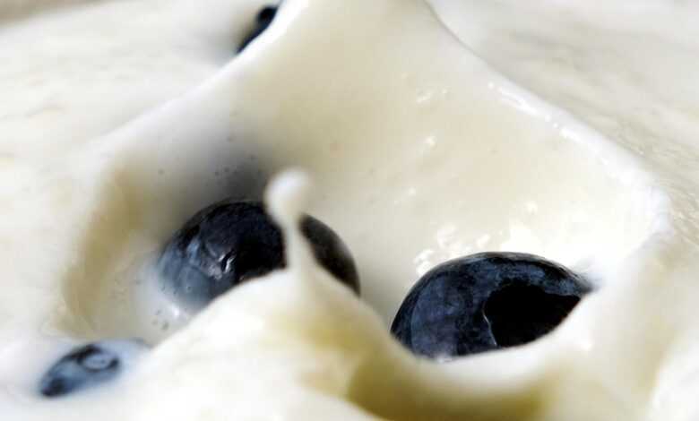 blueberry, yogurt, splash, berry, fruit, kefir, food, meal, breakfast, healthy, diet, closeup, kefir, kefir, kefir, kefir, kefir