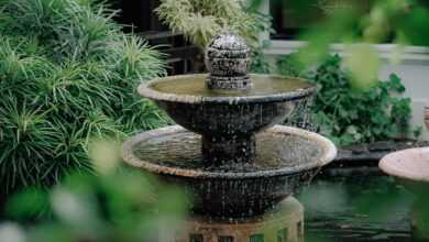 fountain, splash, flow, water, wet, nature, garden
