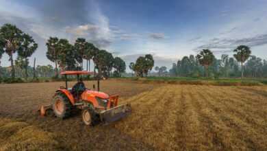 tractor, agriculture, plowing