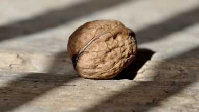 walnut, nut, nuts, healthy, yummy, natural product, wooden floor, light and shadow, walnut, walnut, walnut, walnut, walnut, nut, nut, nut, nuts, nuts