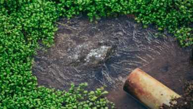 irrigation, agriculture, field