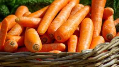 carrots, basket, vegetables