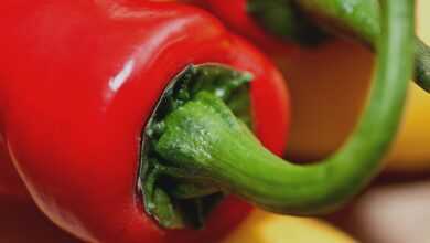 peppers, fruit, the inside of the pepper