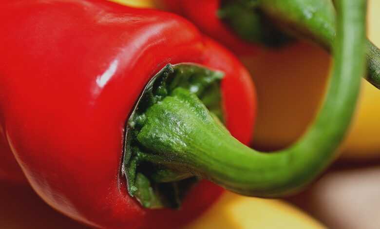 peppers, fruit, the inside of the pepper