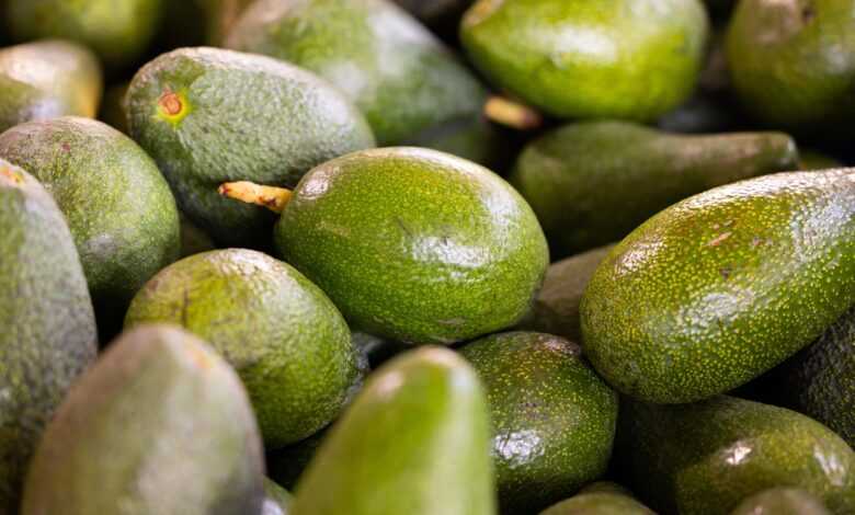 avocados, fruits, fresh avocados, market, farmer's market, organic fruits, avocados, avocados, avocados, avocados, avocados, market