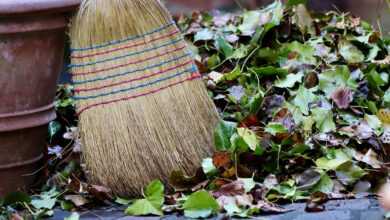 broom, sweep, gardening, autumn leaves, leaves, fall, outdoors, nature, broom, broom, broom, broom, broom