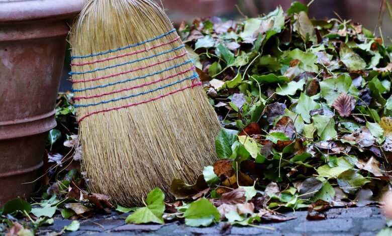 broom, sweep, gardening, autumn leaves, leaves, fall, outdoors, nature, broom, broom, broom, broom, broom