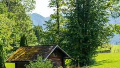 cottage, nature, countryside