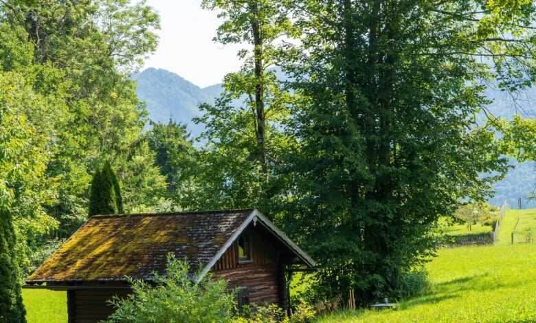 cottage, nature, countryside