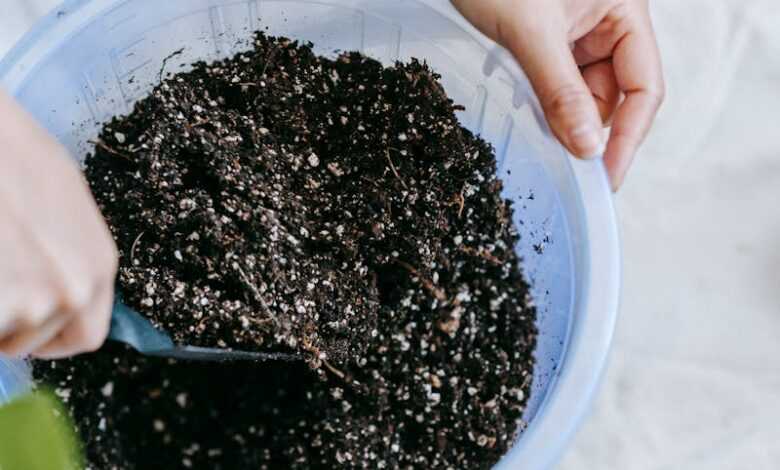 Woman with gardening tool preparing soil for plant